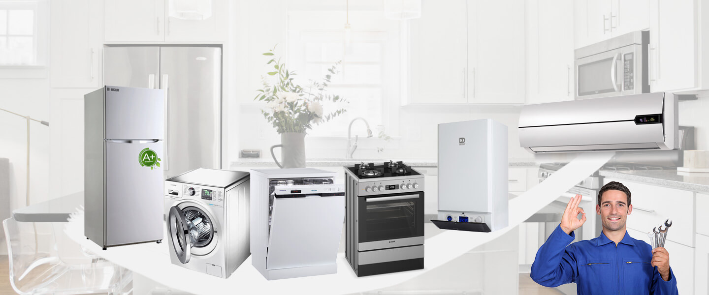 Akşehir Electrolux Servisi